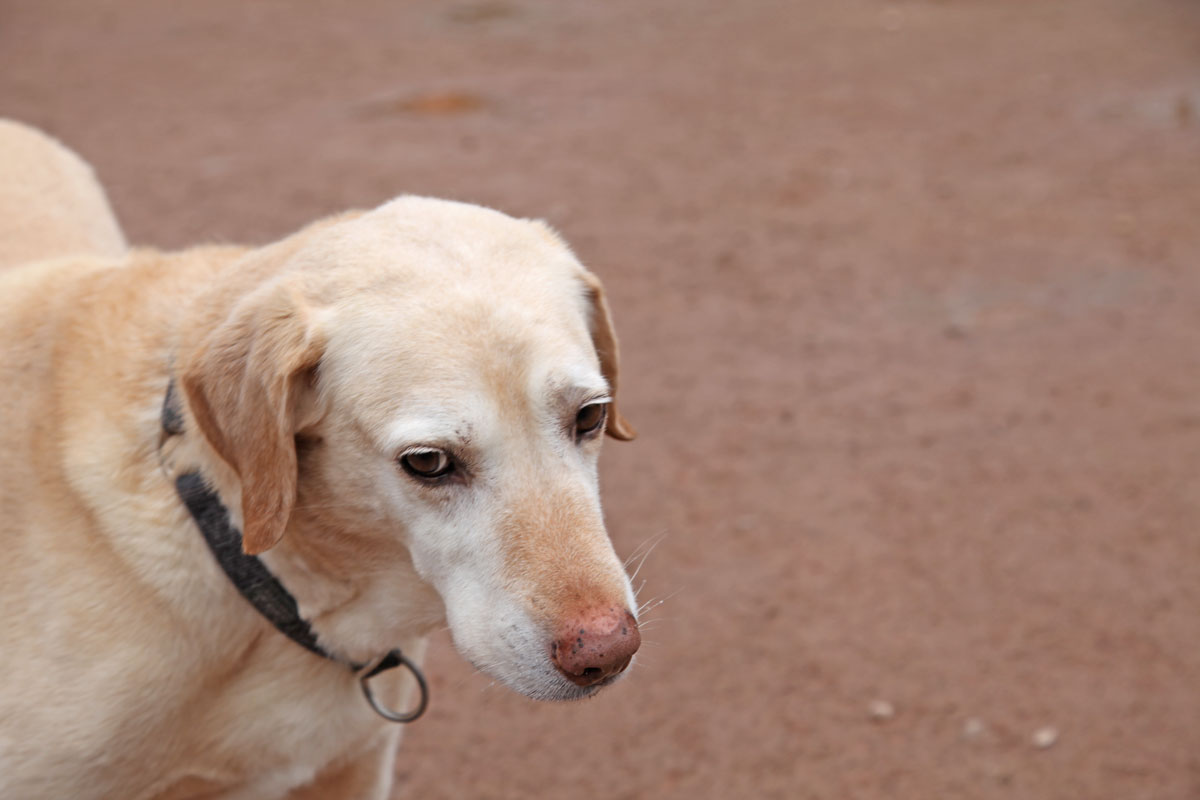 neues Foto Februar 2026