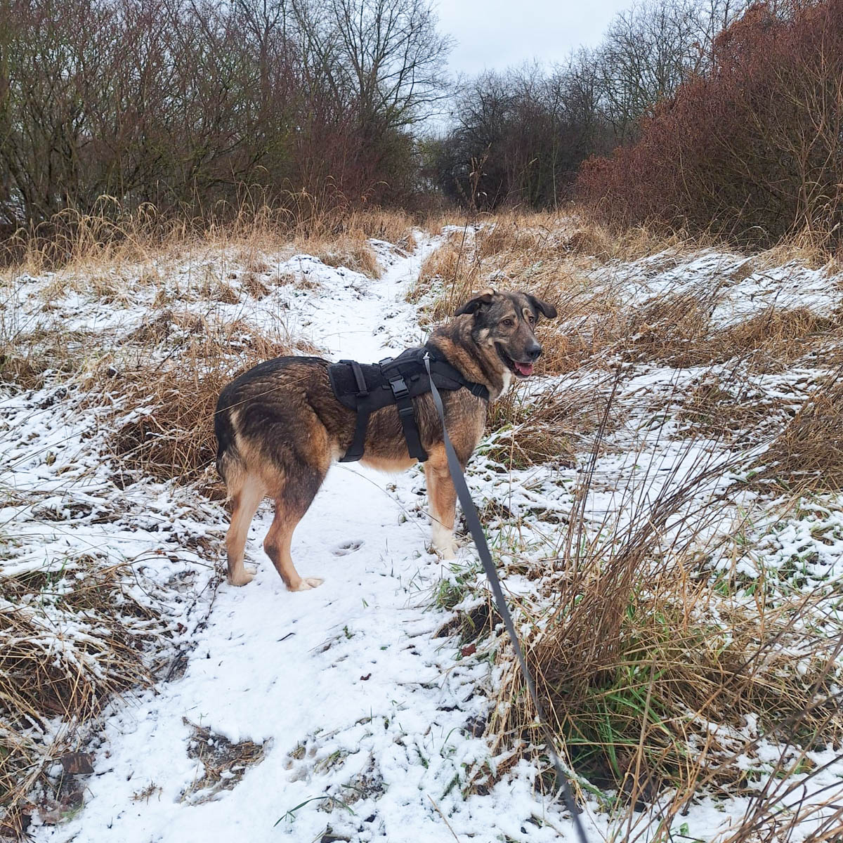 neues Foto Februar 2026