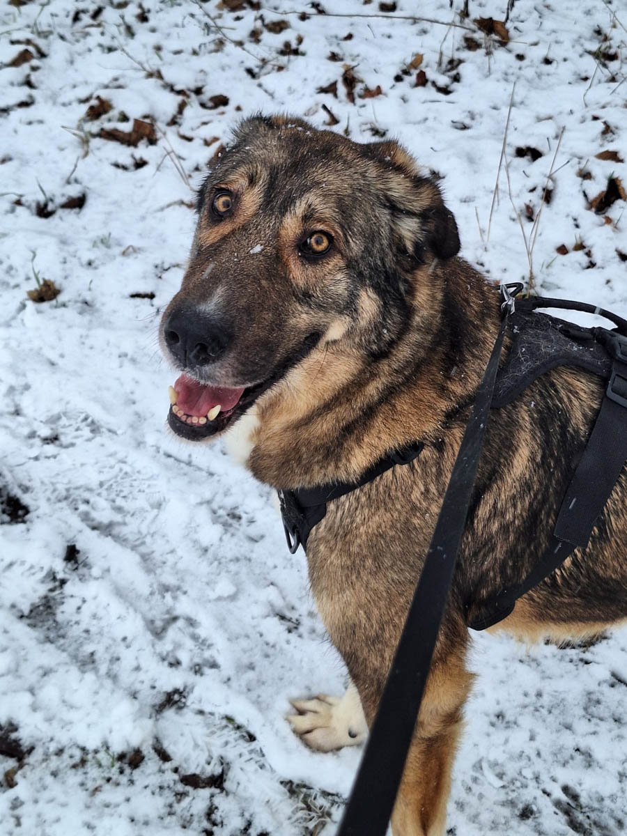 neues Foto Februar 2026