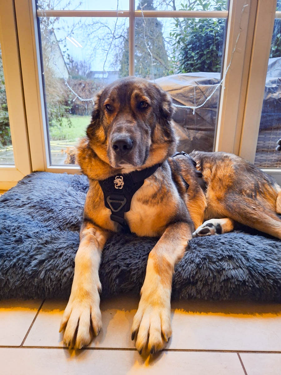 neues Foto Februar 2026