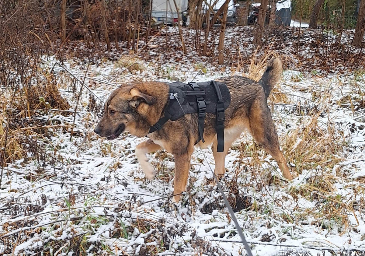 neues Foto Februar 2026