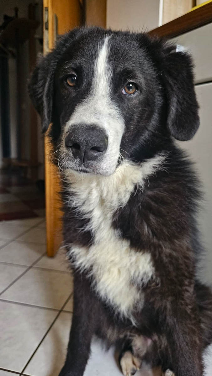 neue Fotos Februar 2026