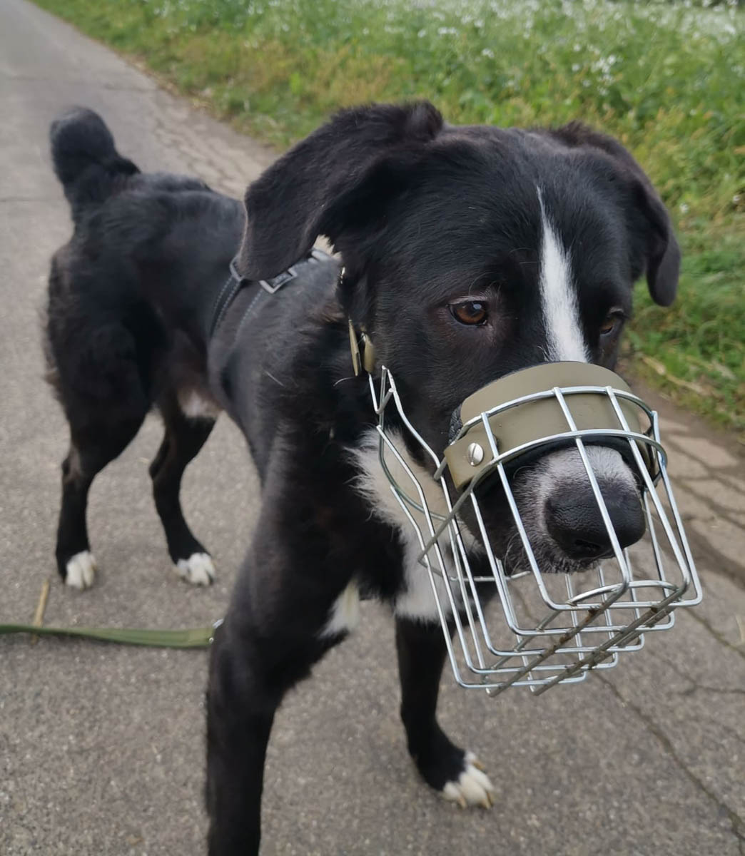 neue Fotos Februar 2026