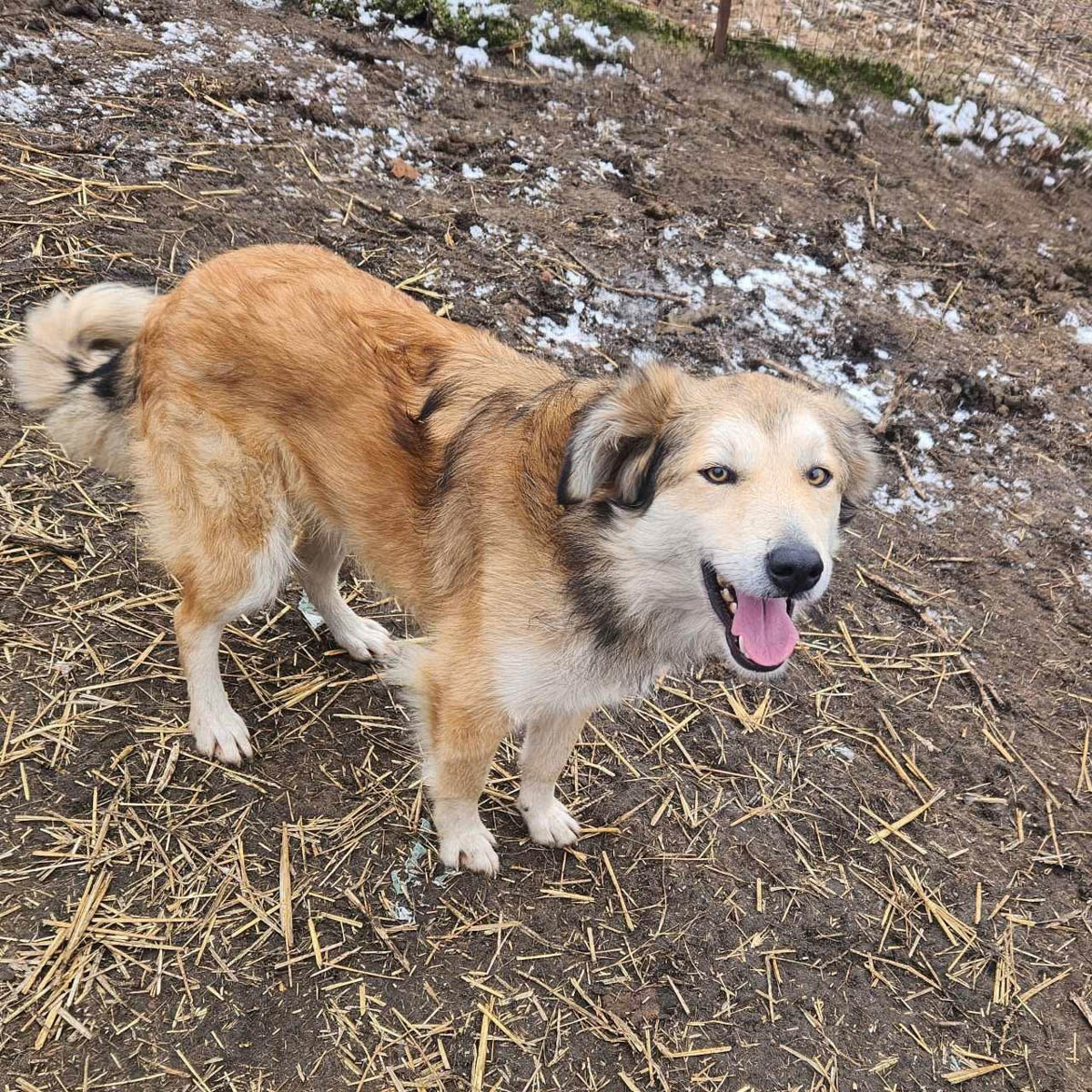 neues Foto Februar 2026