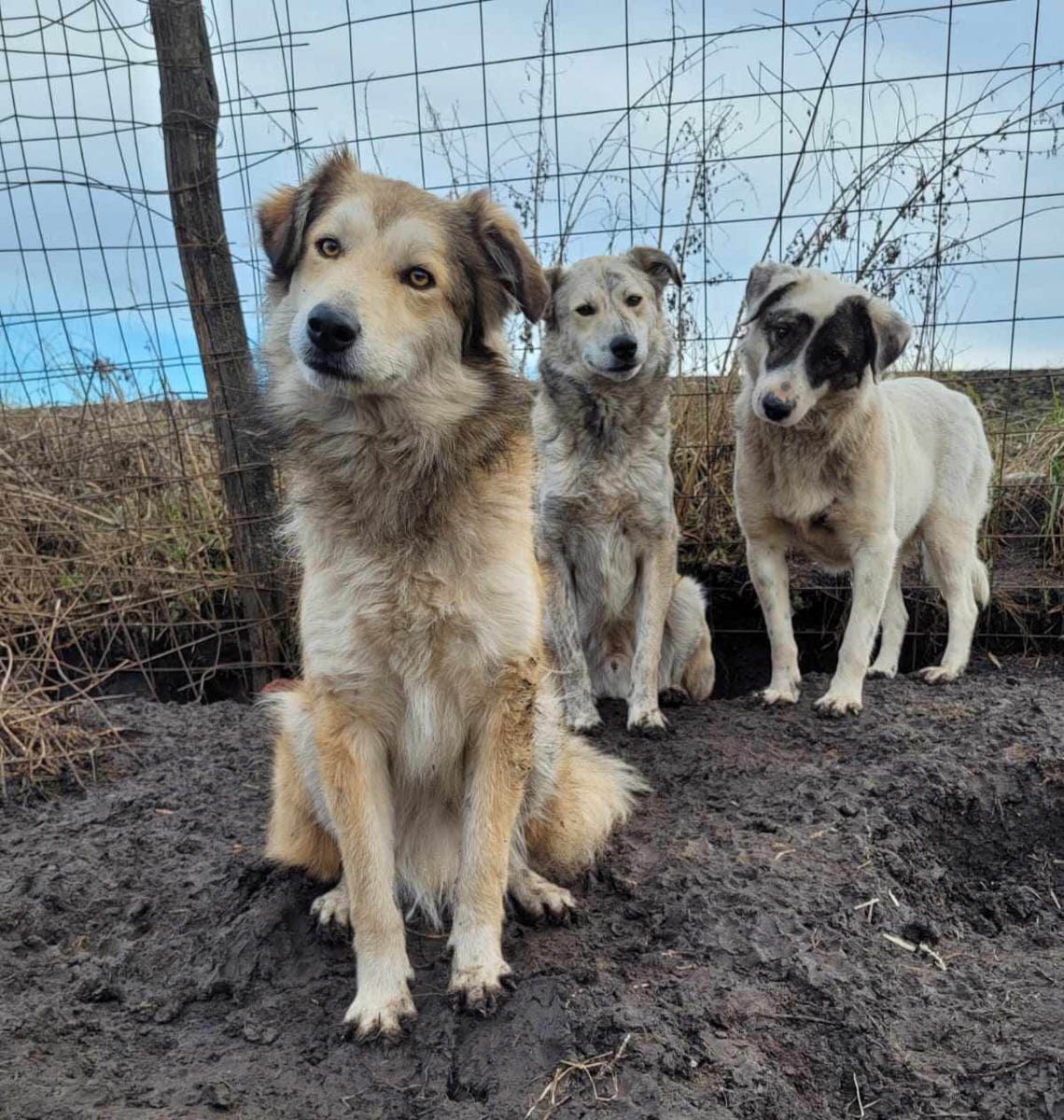 neues Foto Februar 2026