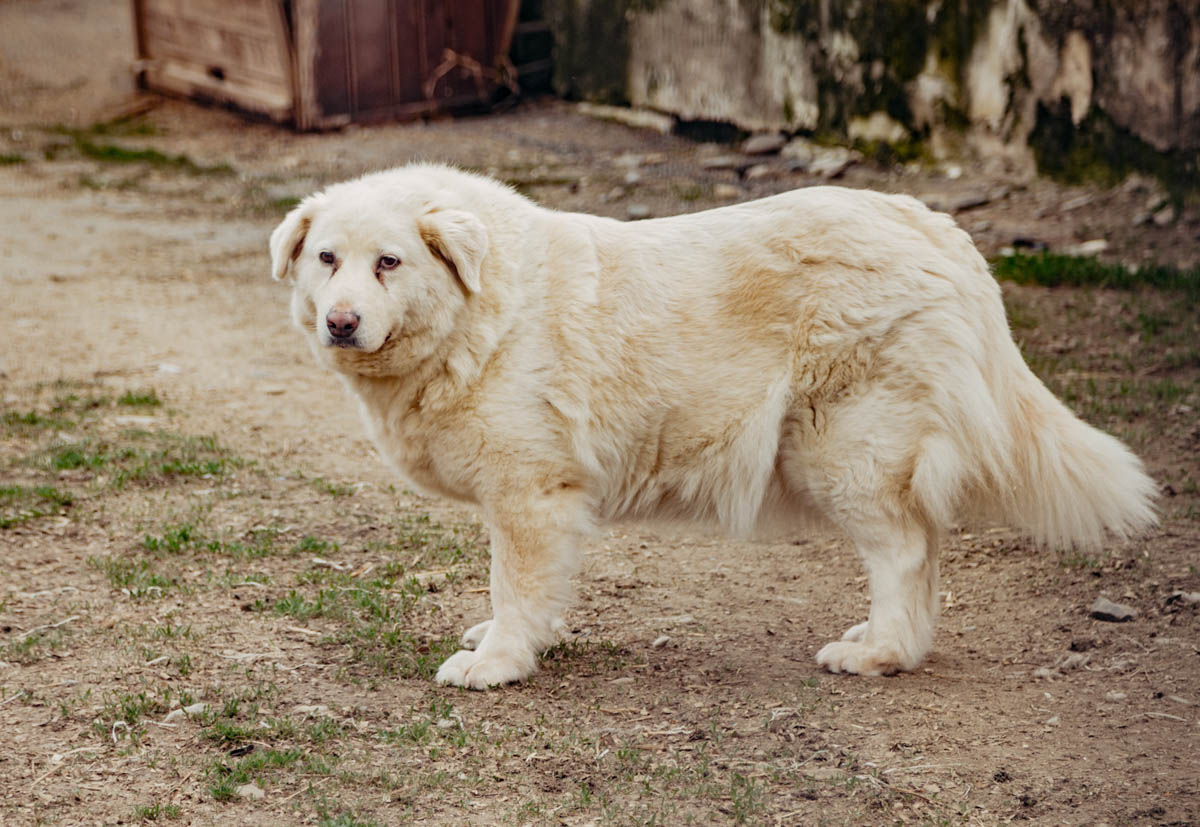 neues Foto Februar 2026