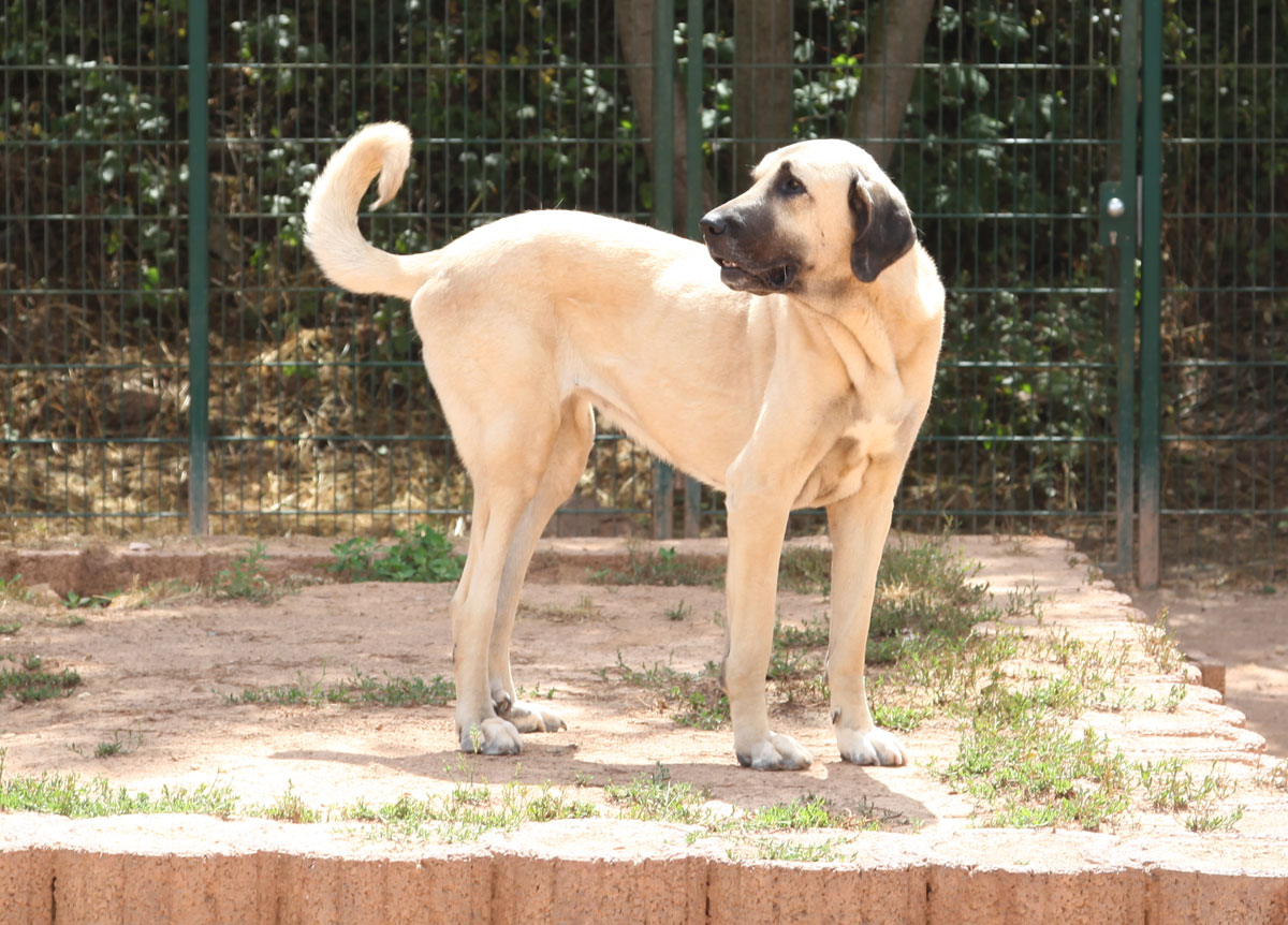 neues Foto Februar 2026