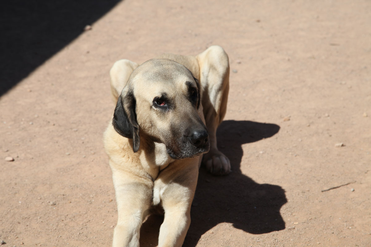 neues Foto Februar 2026