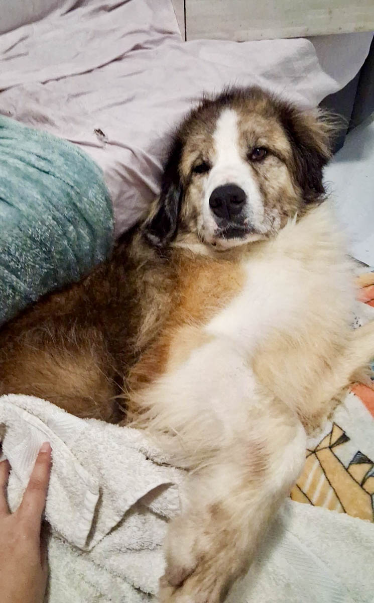 neues Foto Februar 2026