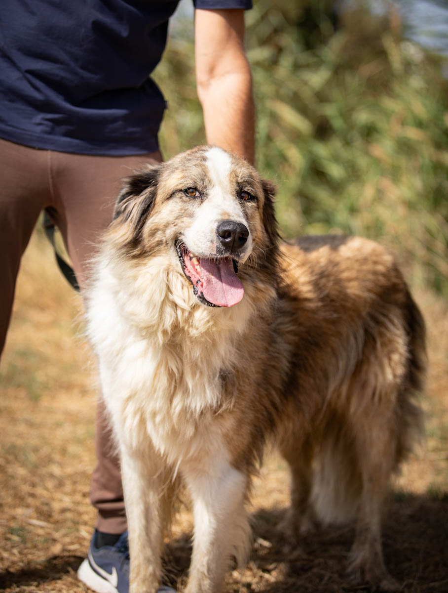 neues Foto Februar 2026