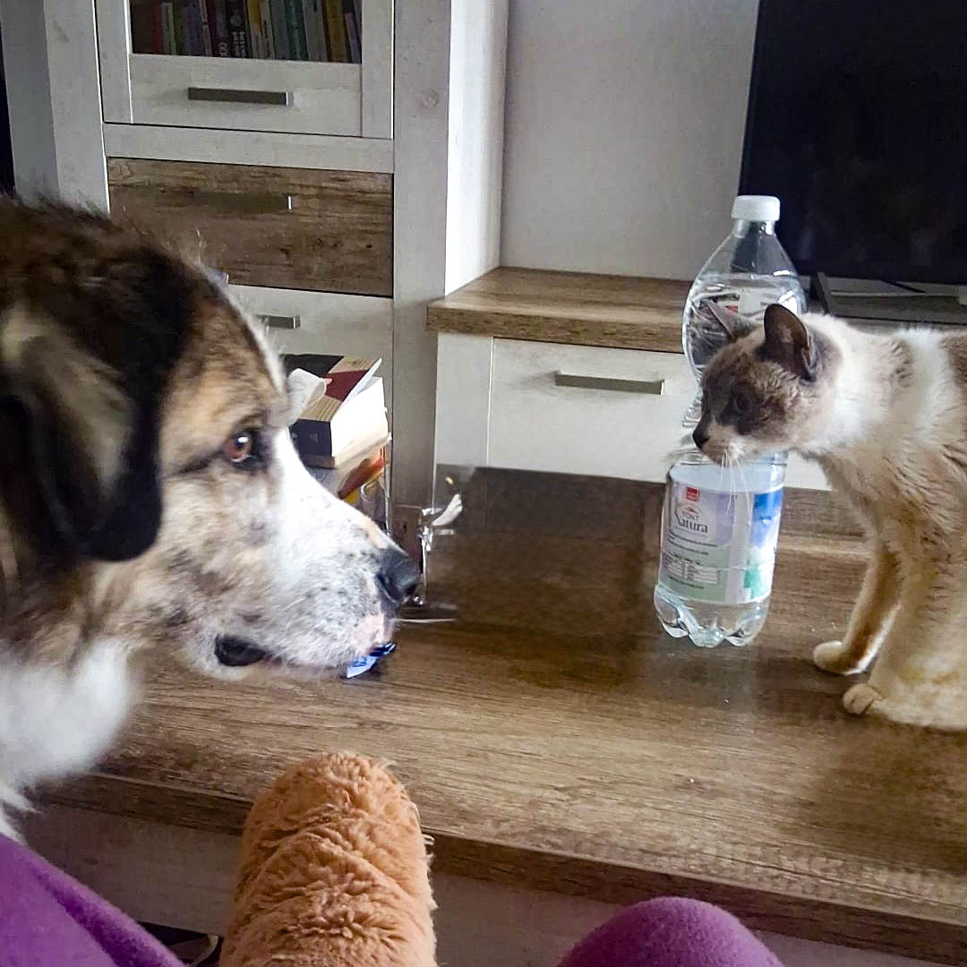 neues Foto Februar 2026