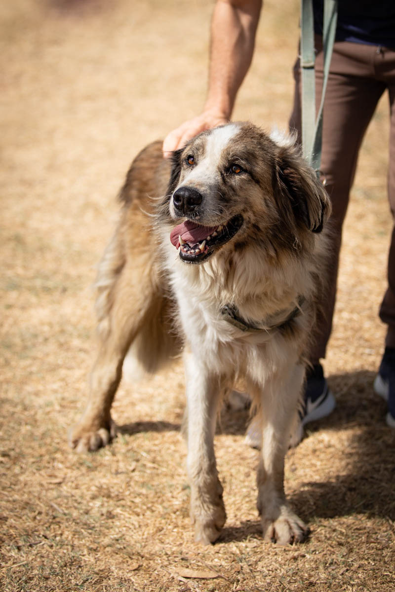 neues Foto Februar 2026