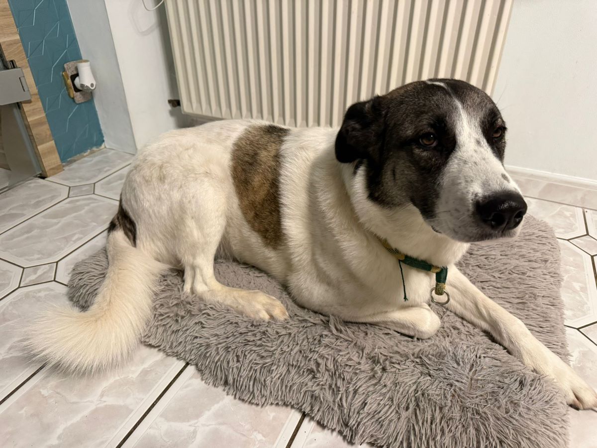 neues Foto Februar 2026