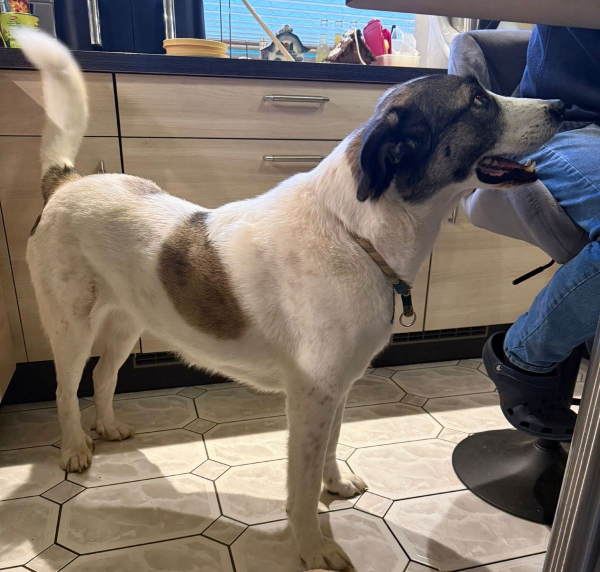 neues Foto Februar 2026