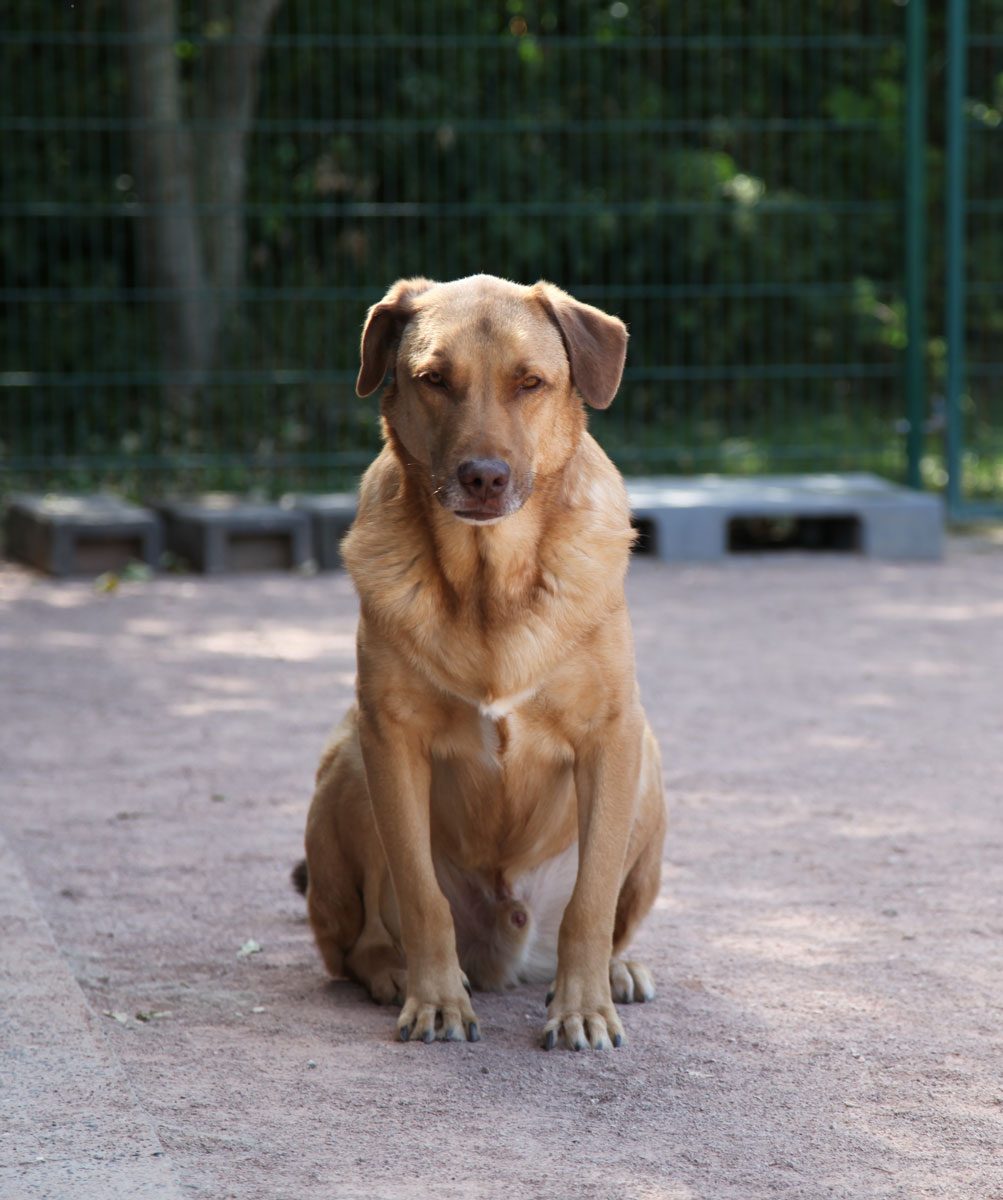 neues Foto Februar 2026