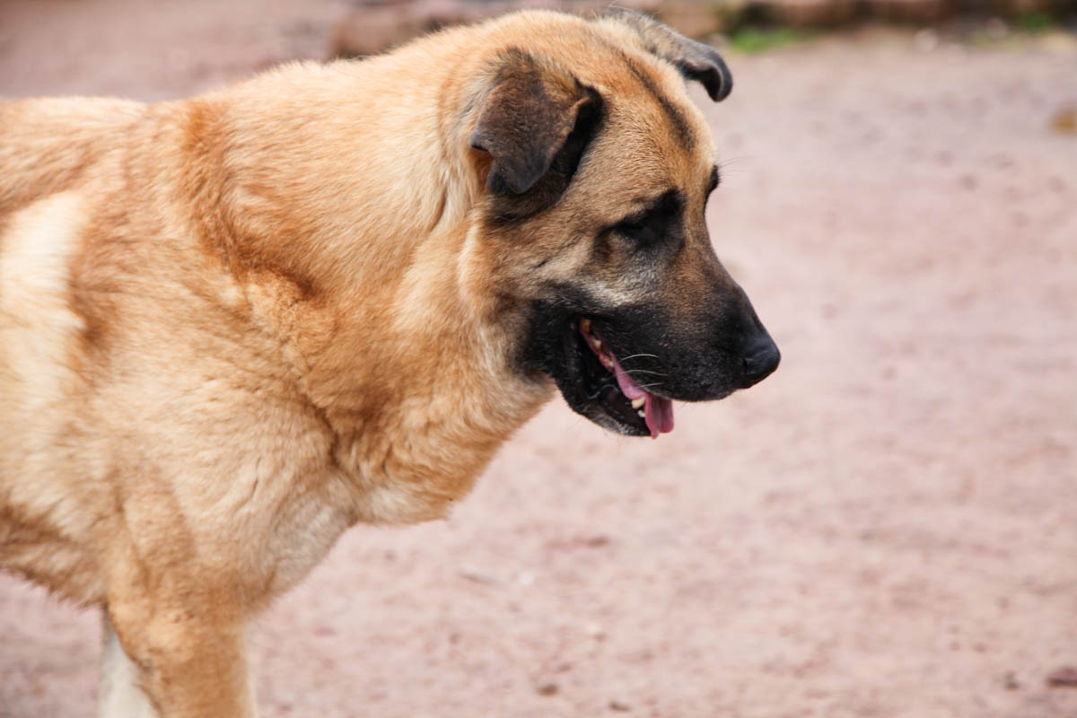 neues Foto Februar 2026