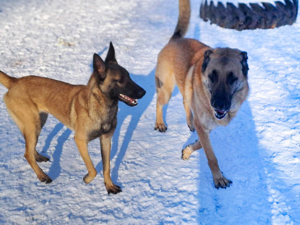 neues Foto Februar 2026