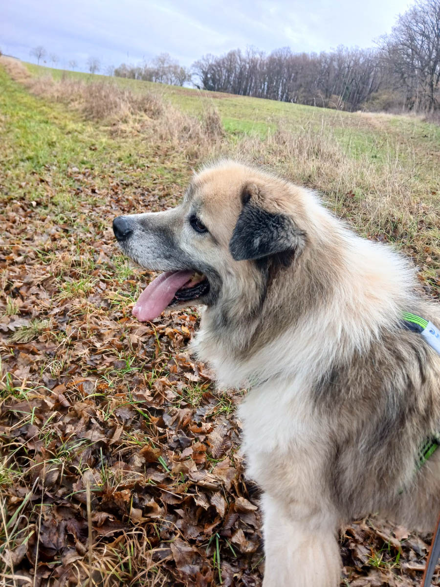 neues Foto Februar 2026