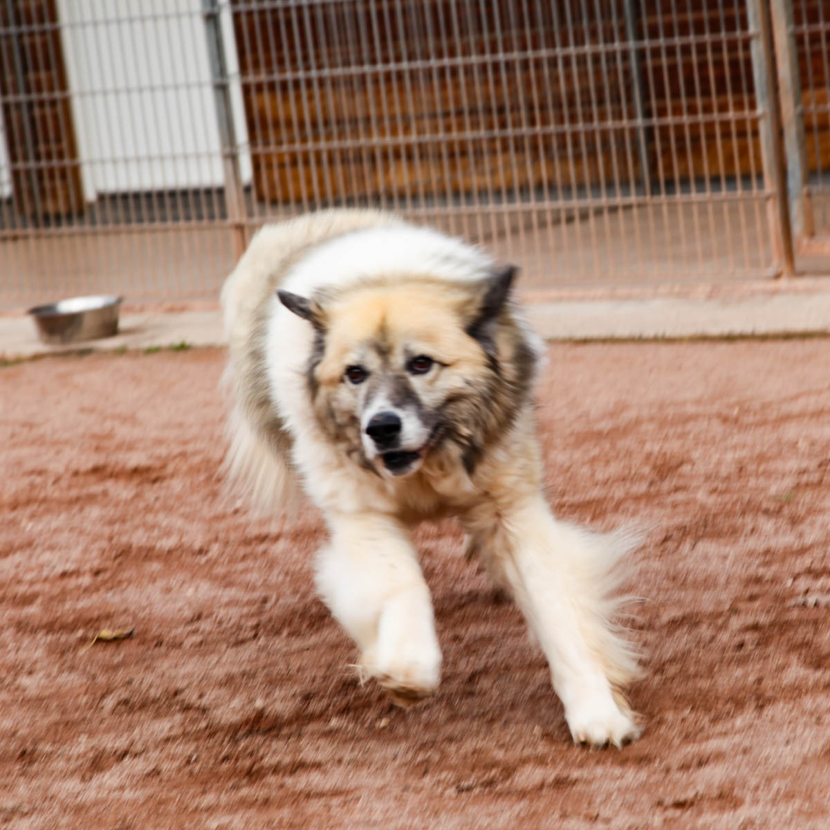 neues Foto Februar 2026