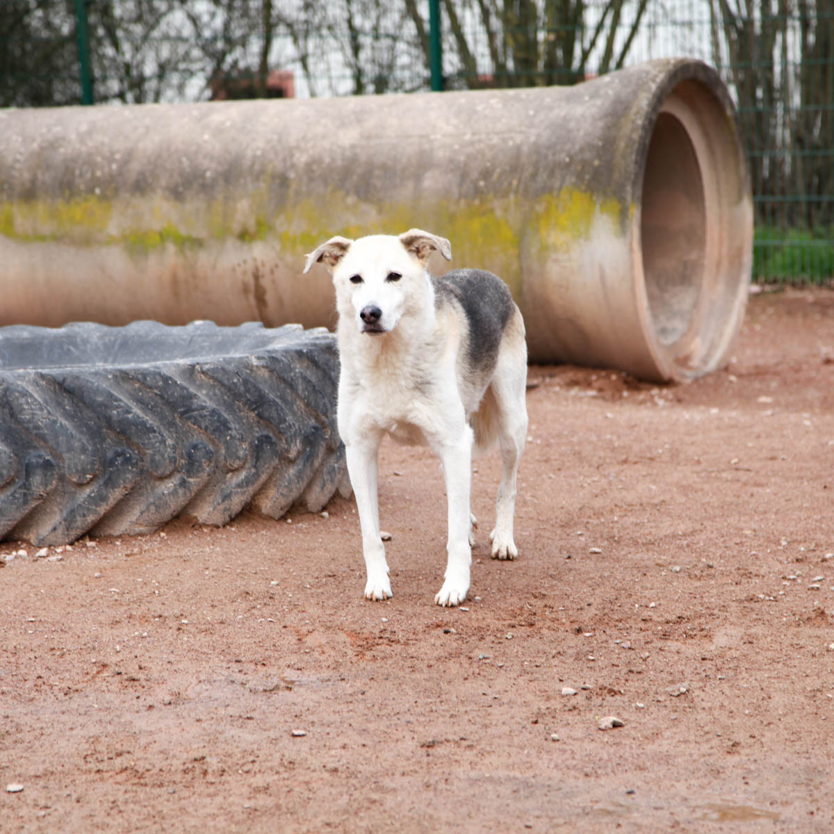 neues Foto Februar 2026
