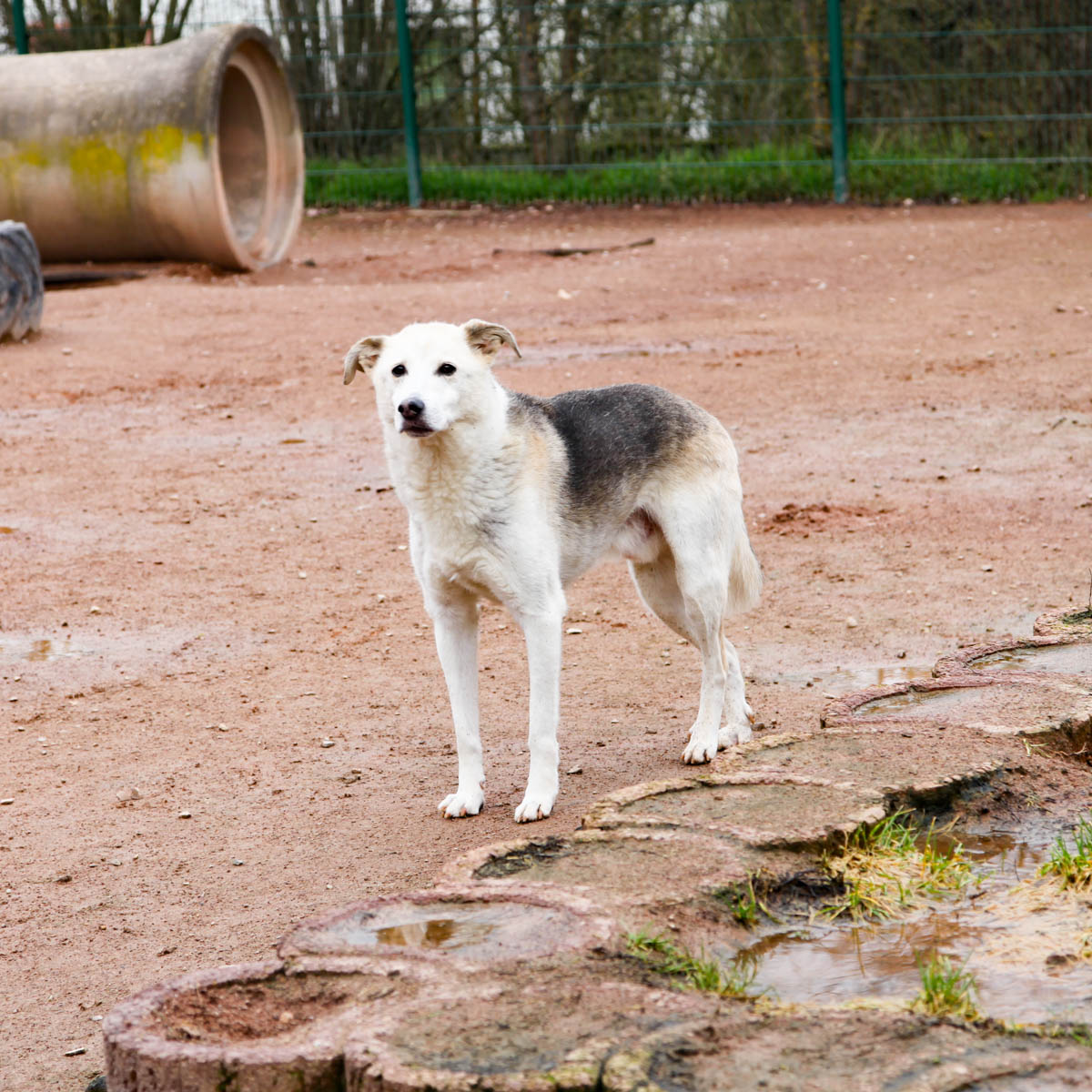 neues Foto Februar 2026