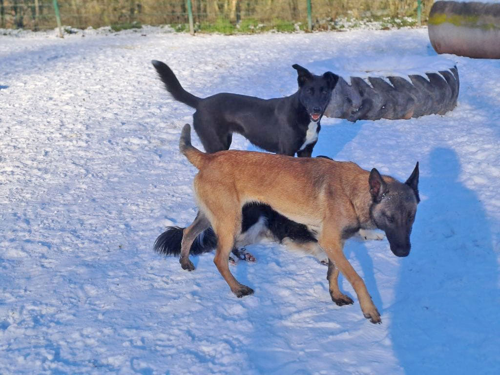 neues Foto Februar 2026