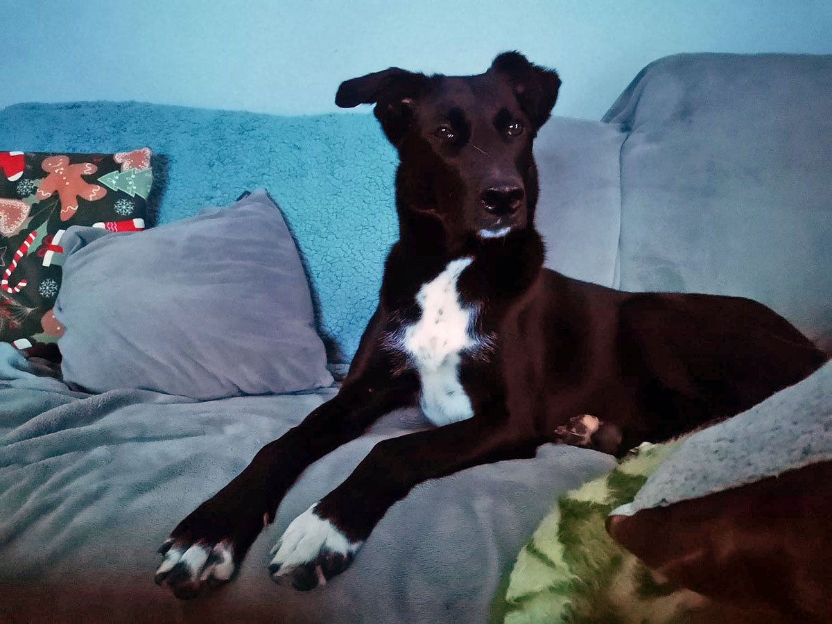 neues Foto Februar 2026