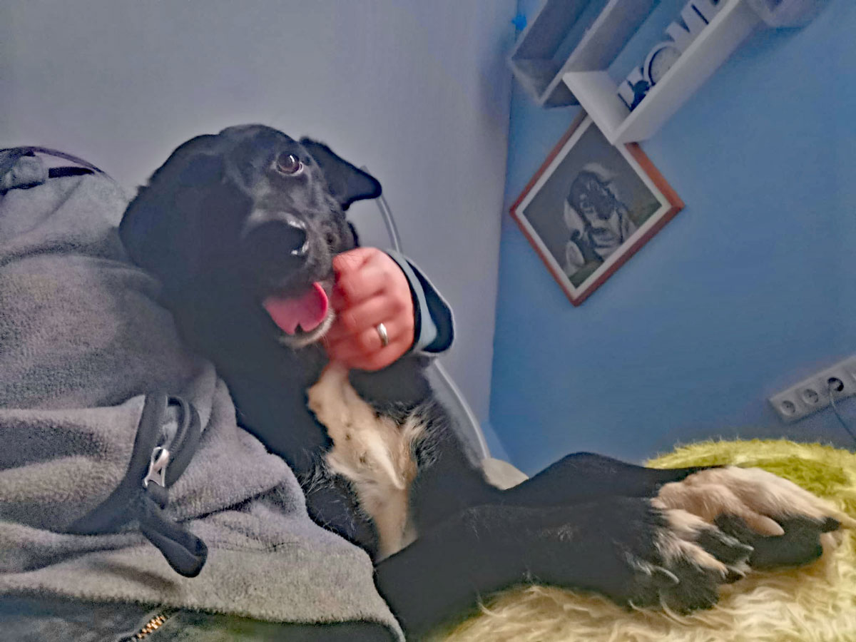 neues Foto Februar 2026