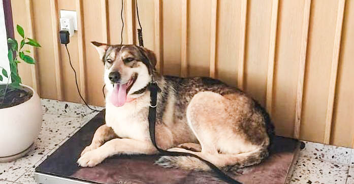 neues Foto März 2026