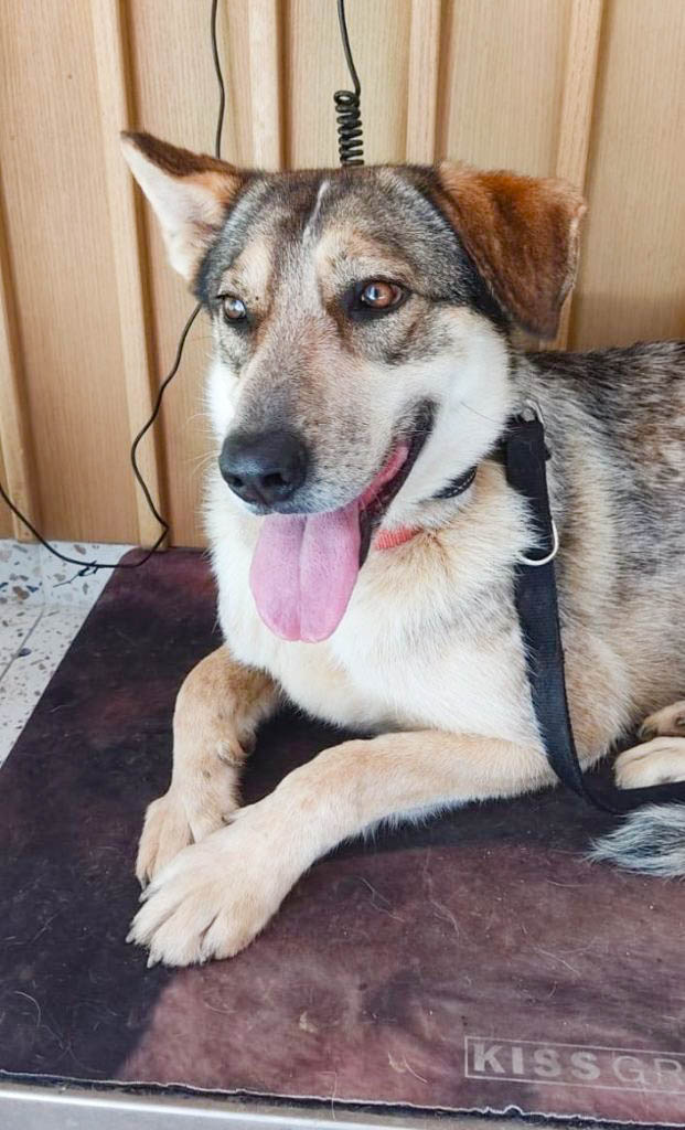 neues Foto März 2026