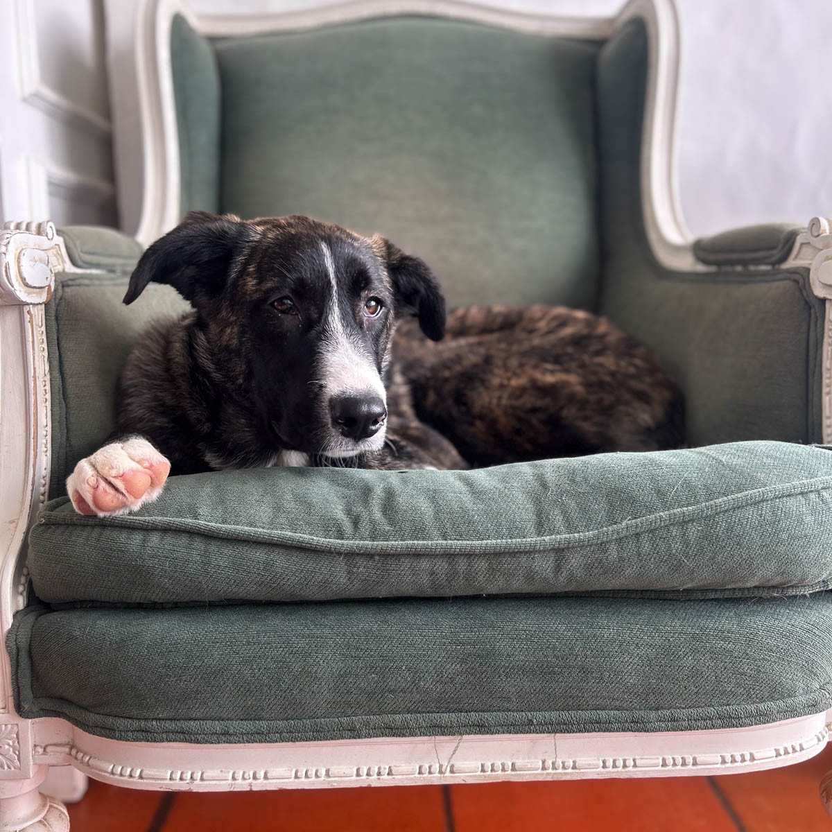 neues Foto März 2026