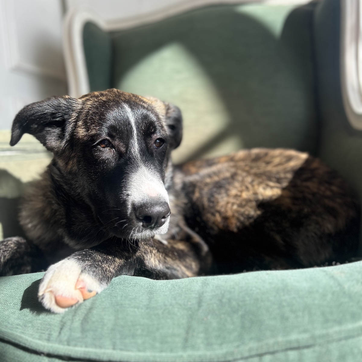 neues Foto März 2026