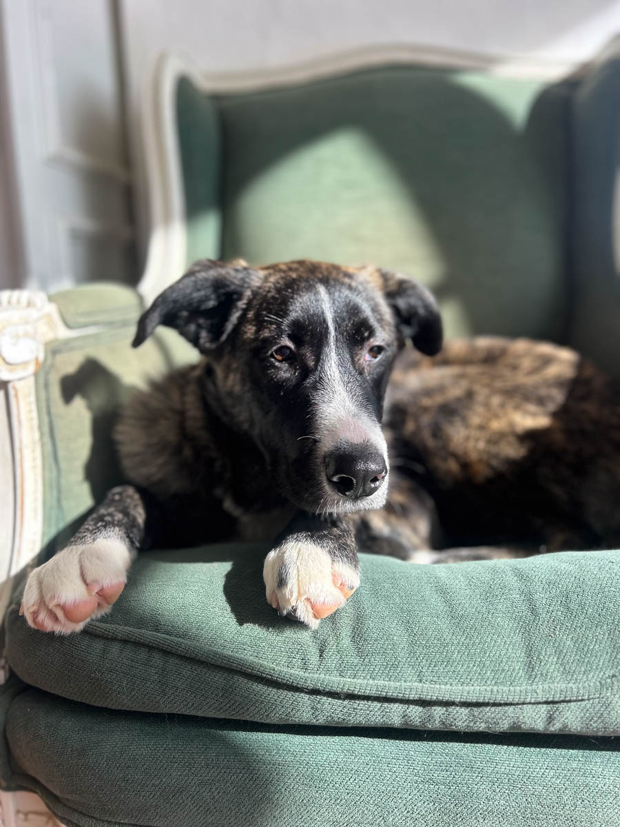 neues Foto März 2026