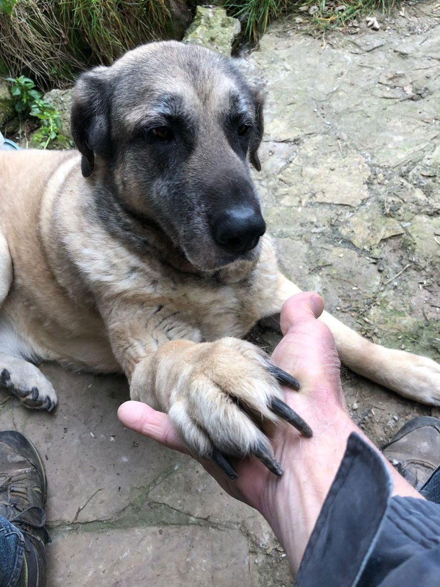 neues Foto März 2026