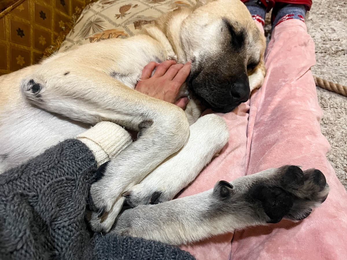 neues Foto April 2026