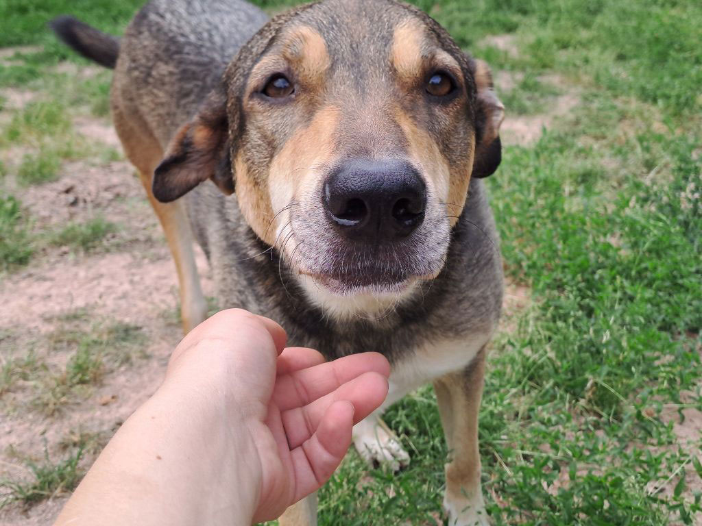 neues Foto März 2026