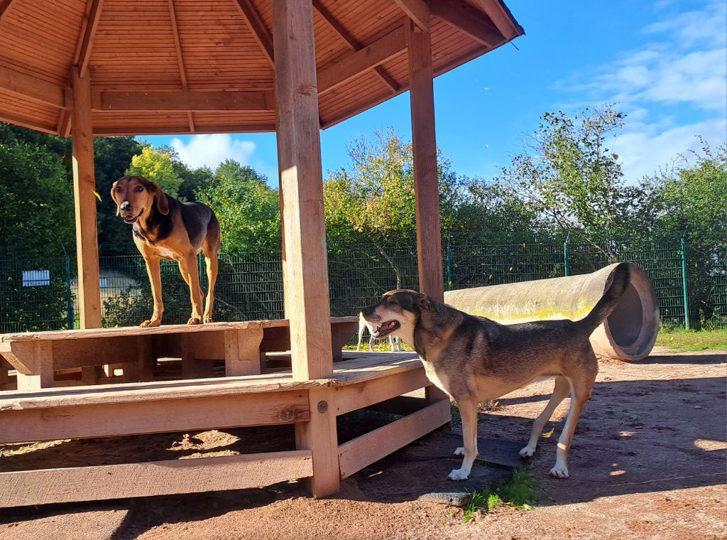 neues Foto März 2026