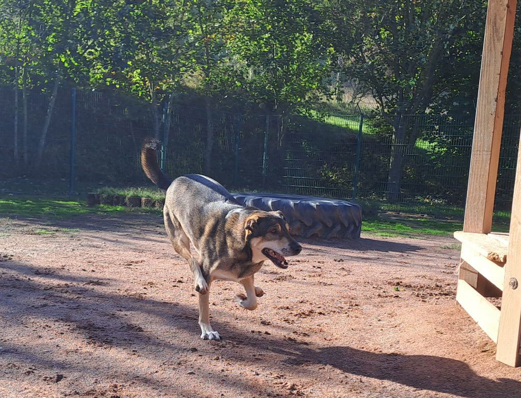 neues Foto März 2026