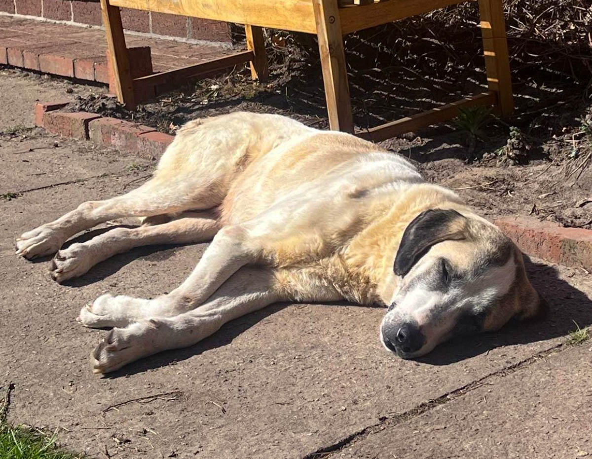 neues Foto März 2026