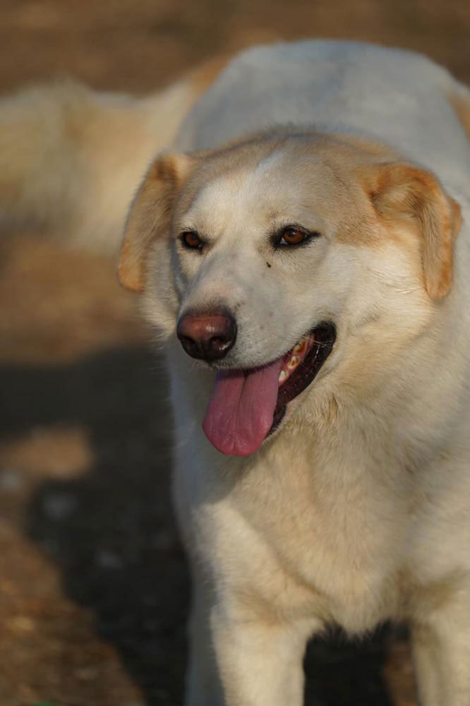 neues Foto März 2026