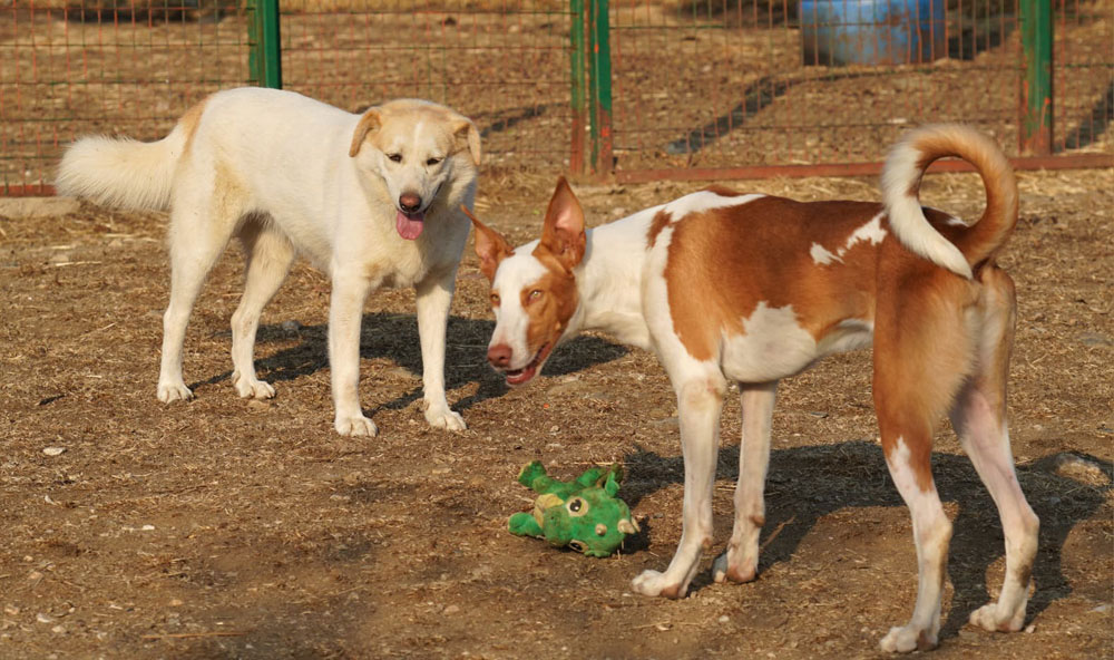 neues Foto März 2026