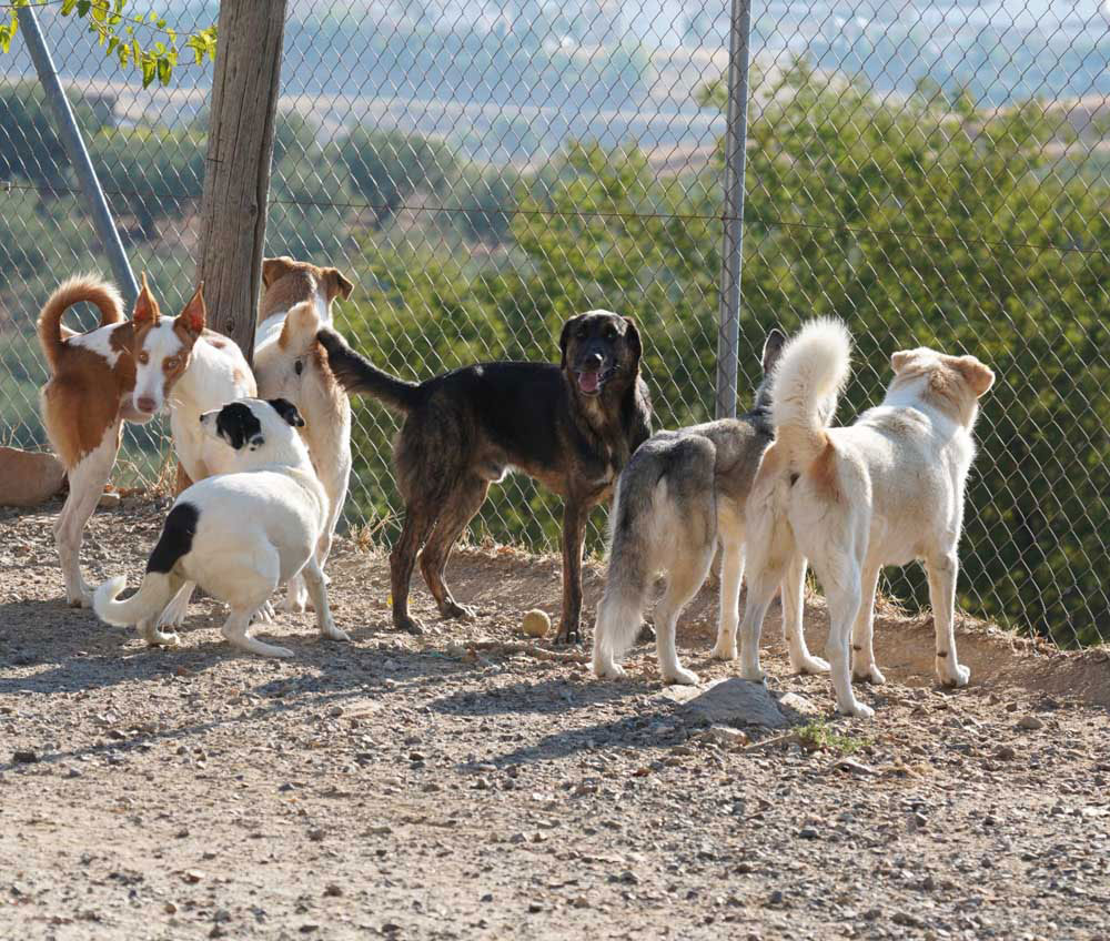 neues Foto März 2026