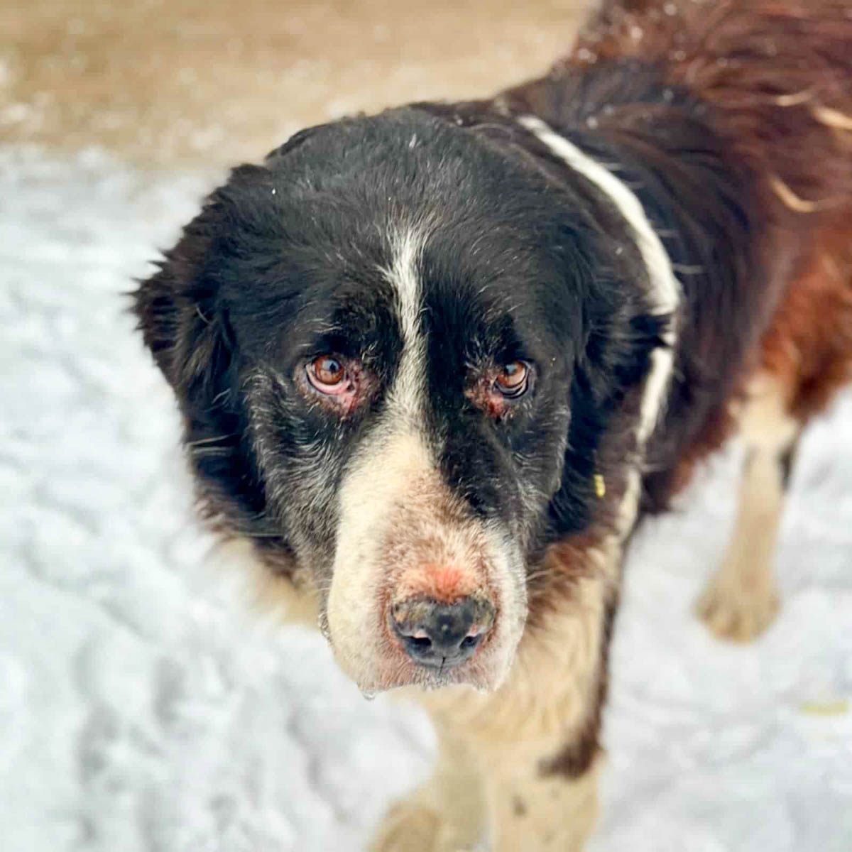 neues Foto März 2026