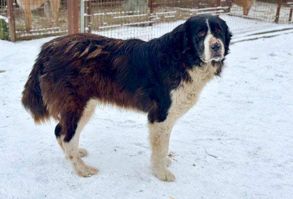 neues Foto März 2026