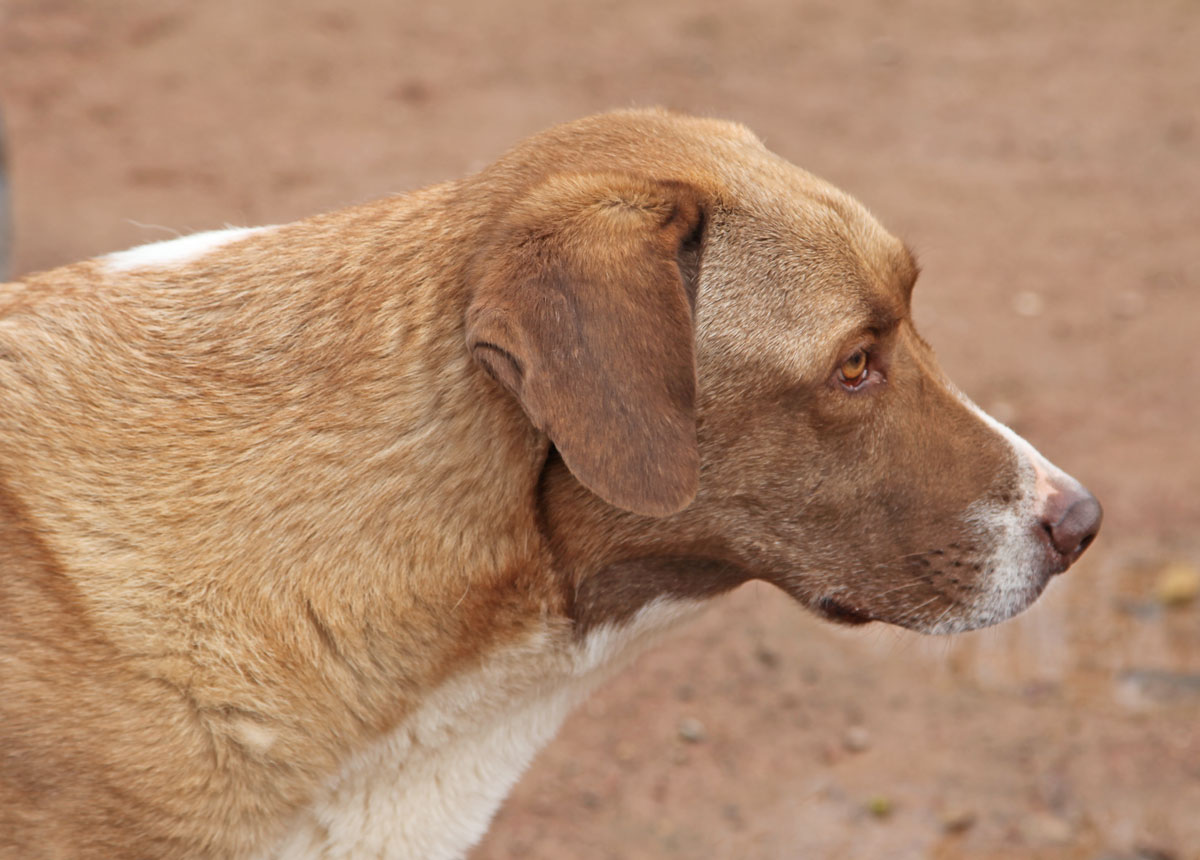 neues Foto März 2026