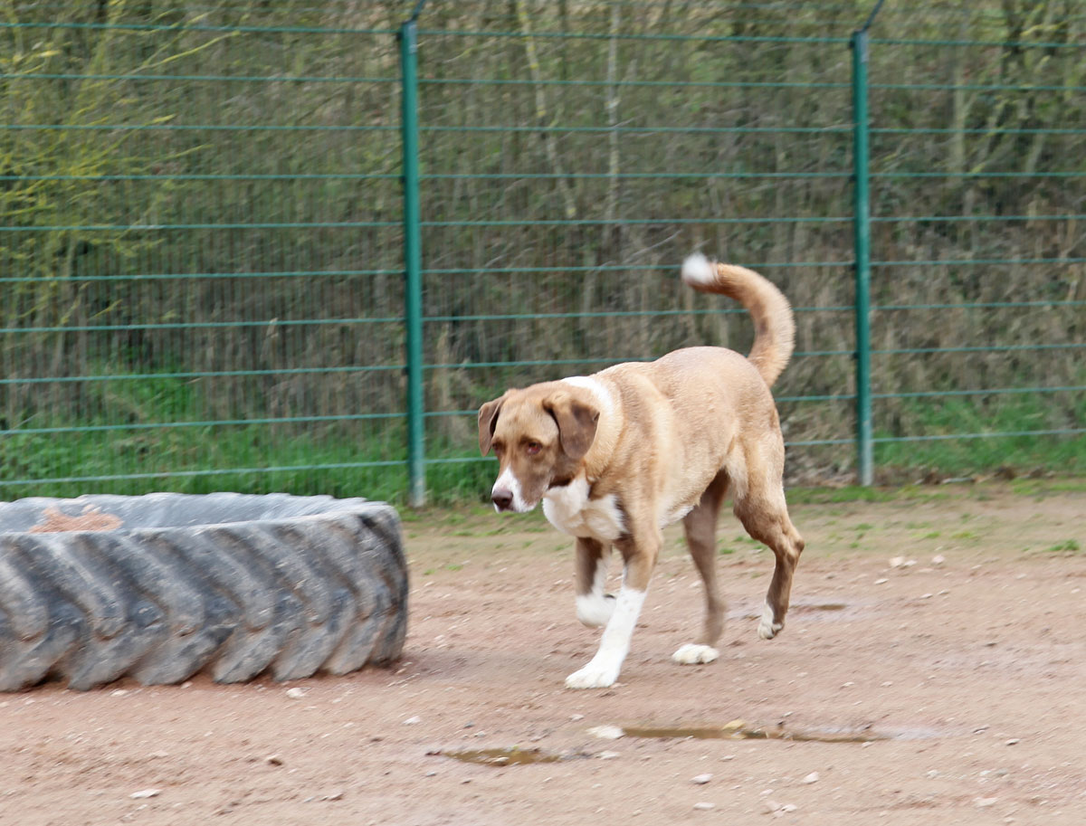 neues Foto März 2026