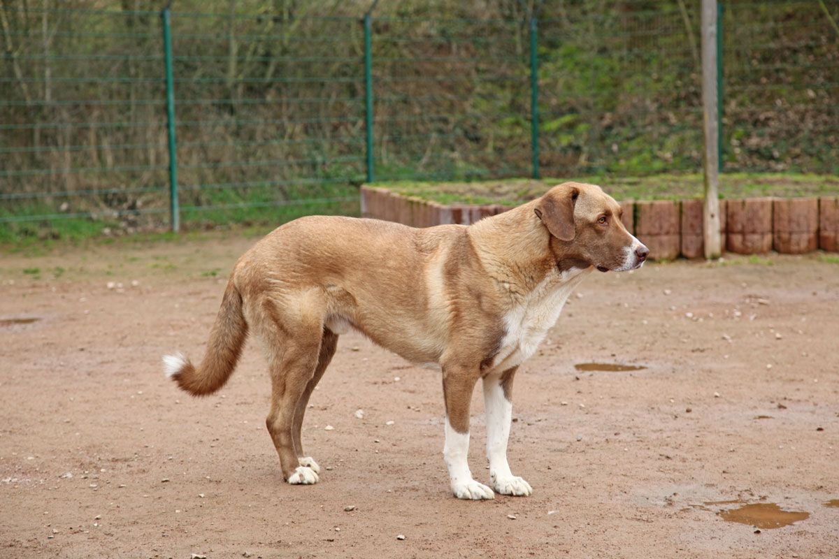 neues Foto März 2026