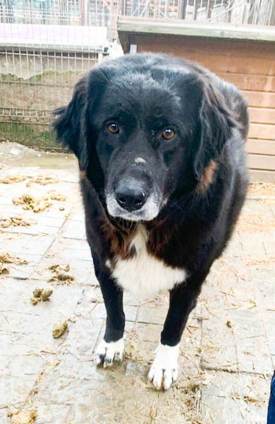 neues Foto März 2026