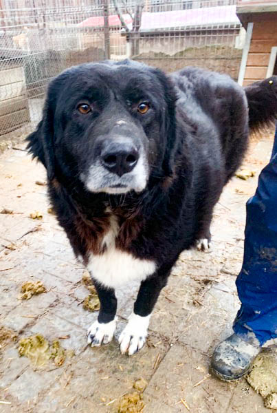 neues Foto März 2026