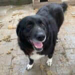 neues Foto März 2026